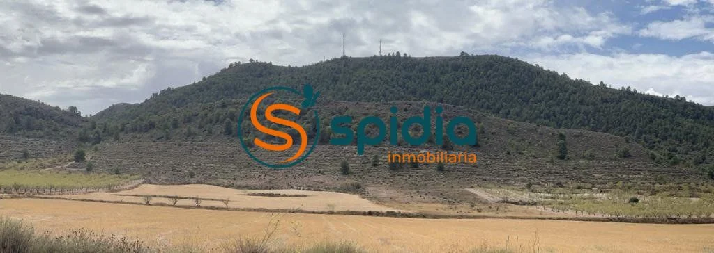 Rural plot near La Paca, 20,390 m²