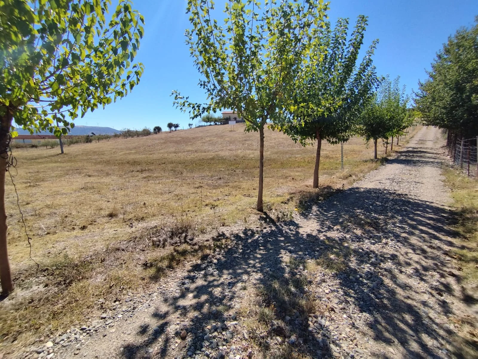 Solar urbano en Carcaboso, 5.600 m²