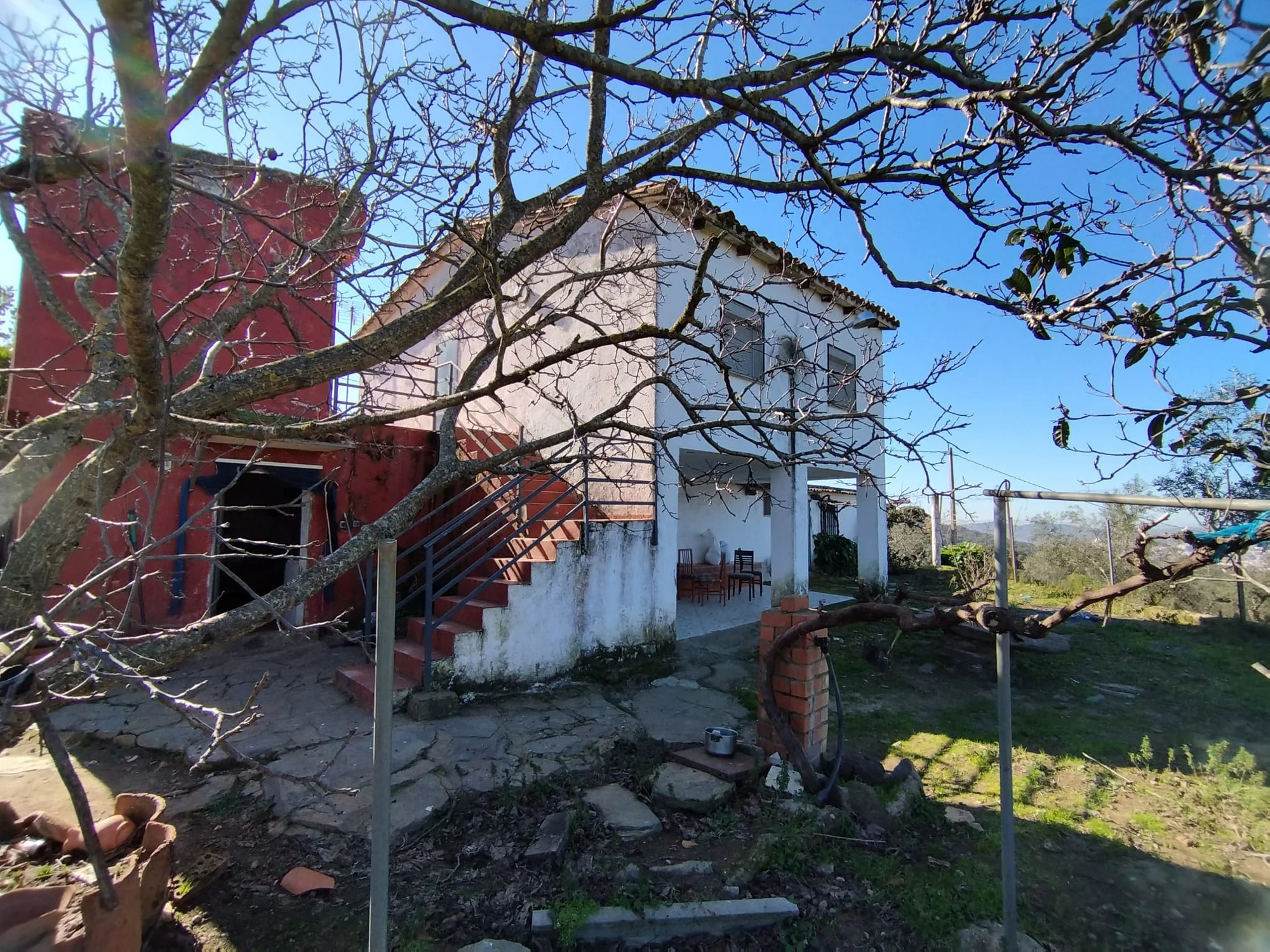 Finca de olivos cerca de Plasencia