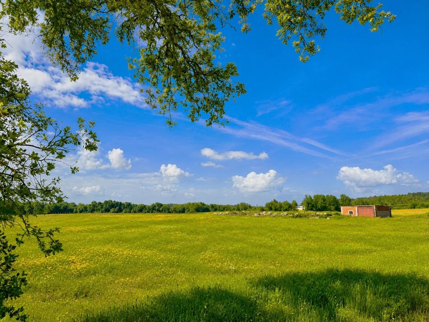 Productive rural estate near Talayuela