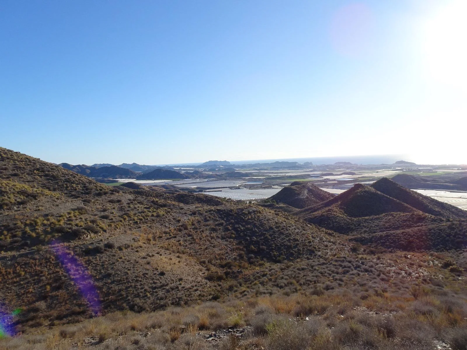 Rural plot in La Pila, 112,216 m²