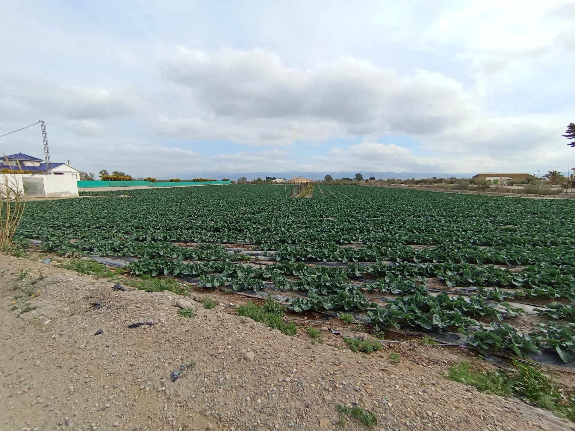 Parcela rural de 5.000 m² con balsa
