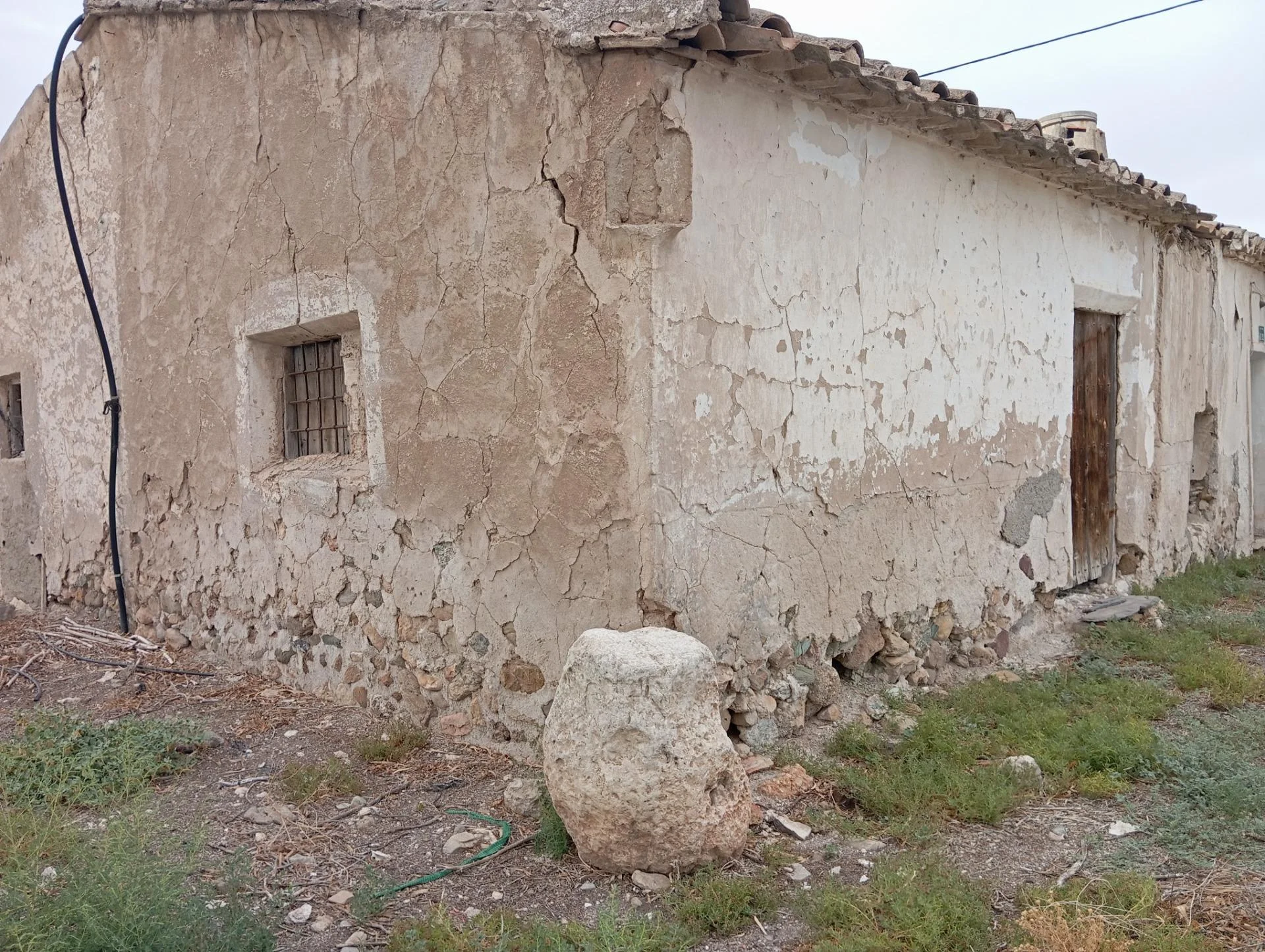 Large olive plot with licensed project