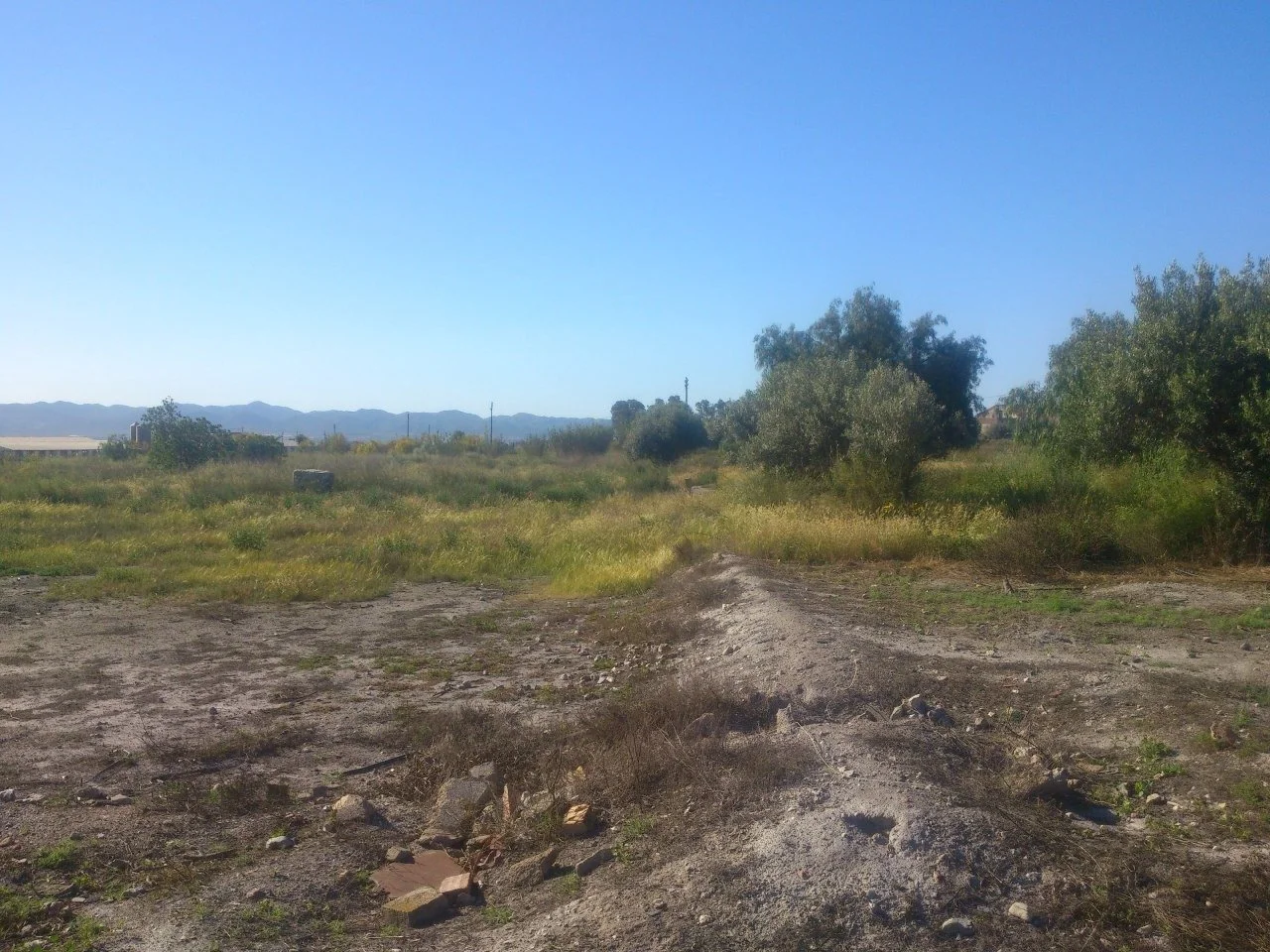Developable plot in Torrecilla, 9,921 m²