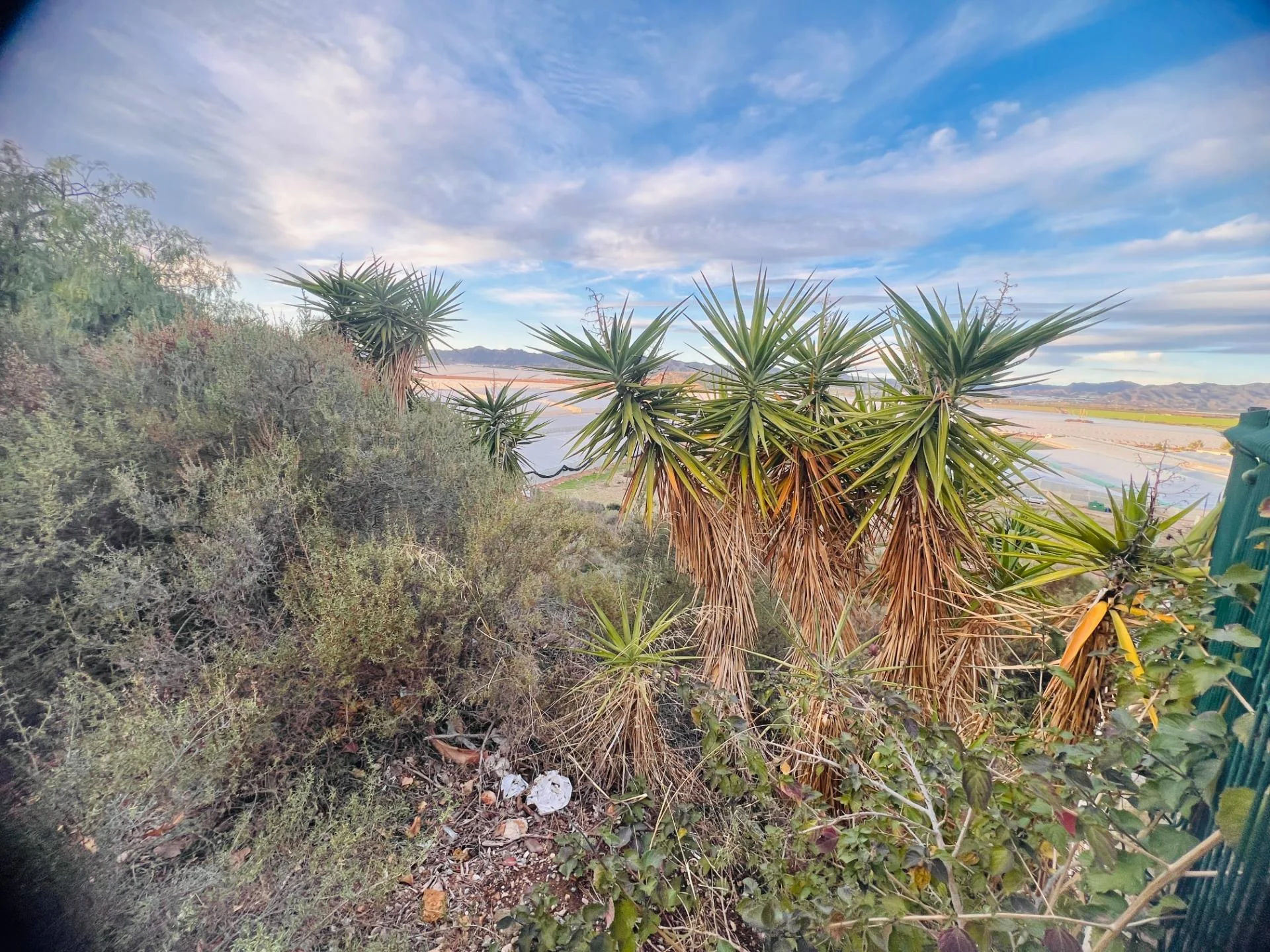 Four-plot Calarreona land opportunity