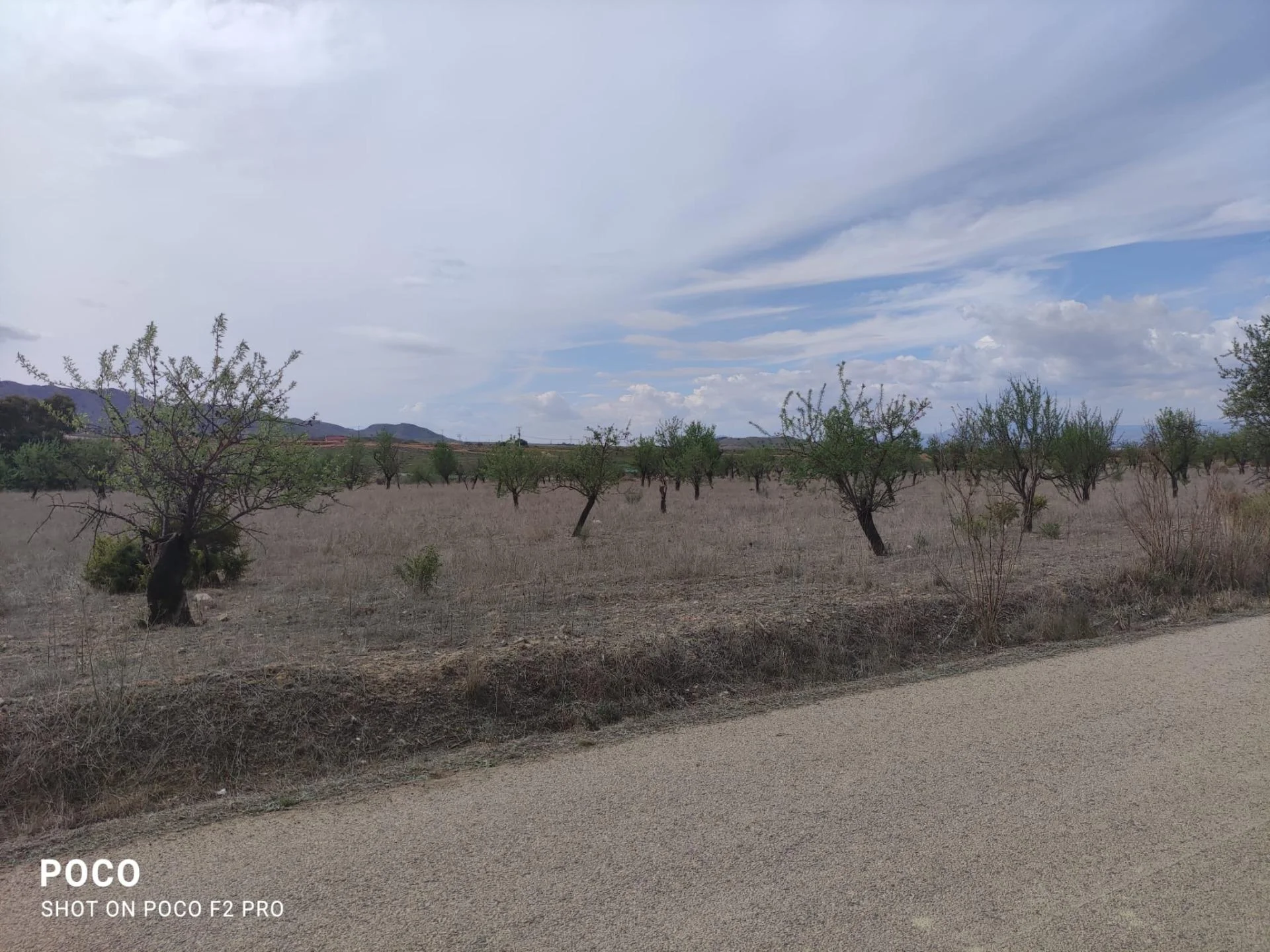 Irrigated agricultural land near Aguaderas