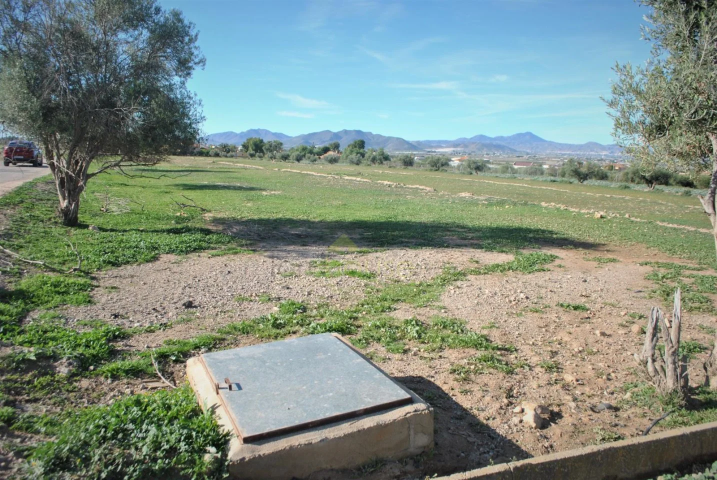 Large Purias plot with development potential