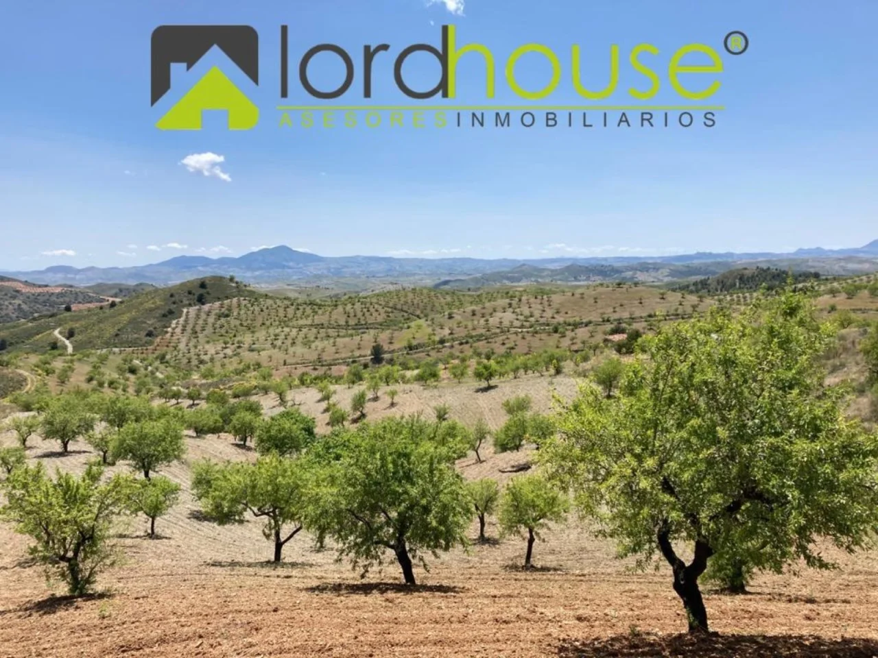 Large rural estate near Lorca
