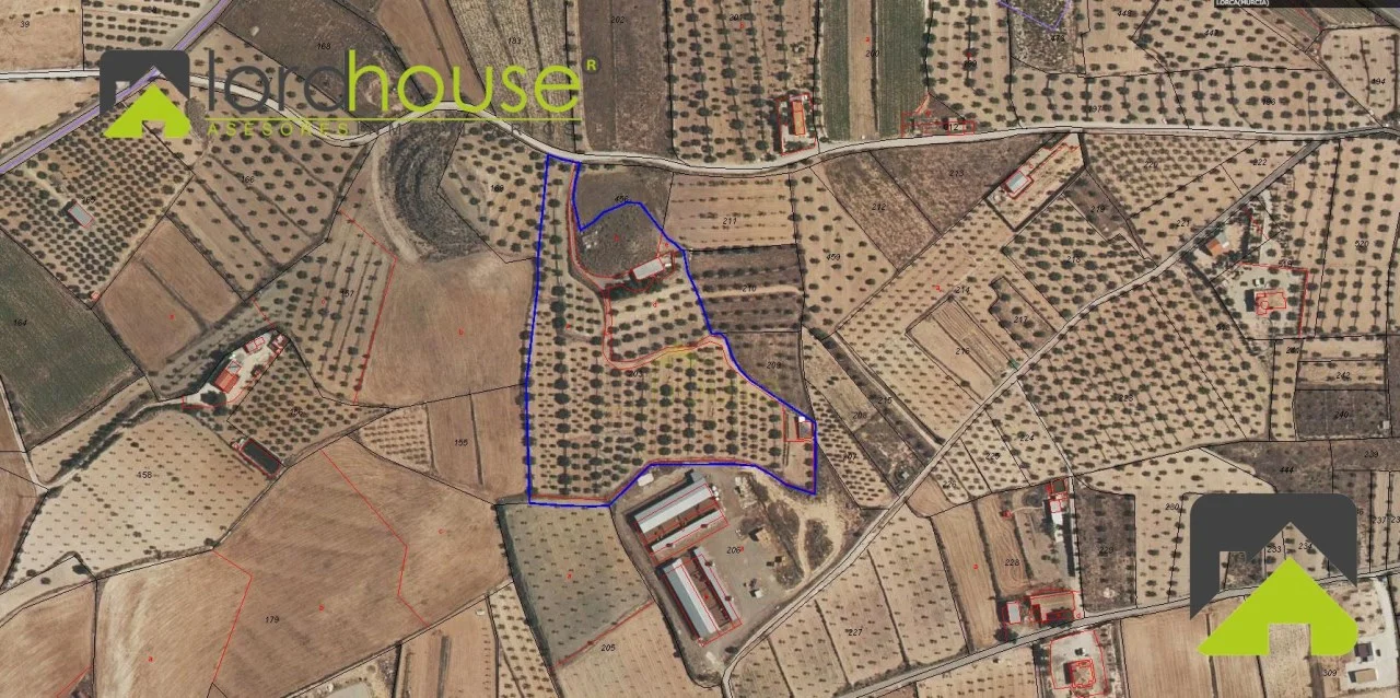 Rural estate with 400+ olive trees