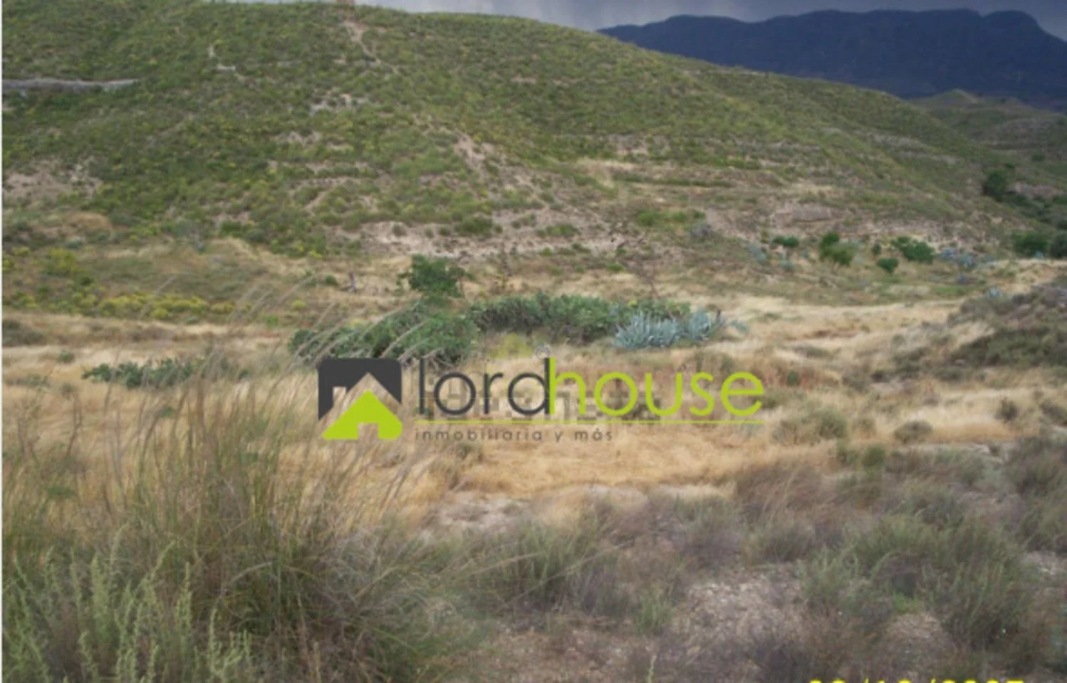 Large rural plot near Lorca