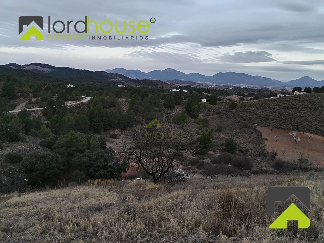 20,000 m² rural property near Lorca