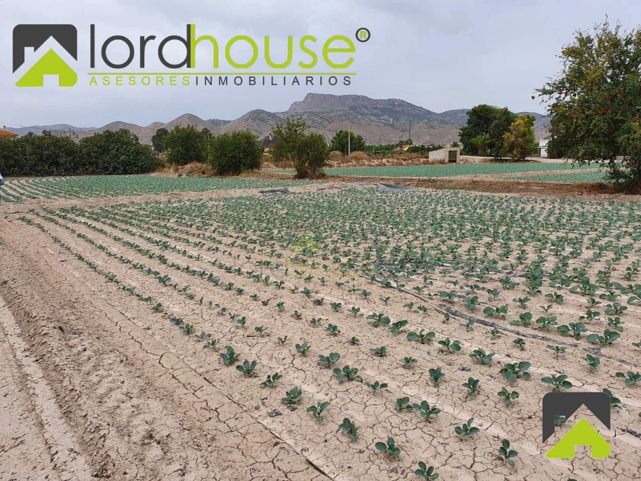 Terreno en Lorca de 5.660 m²