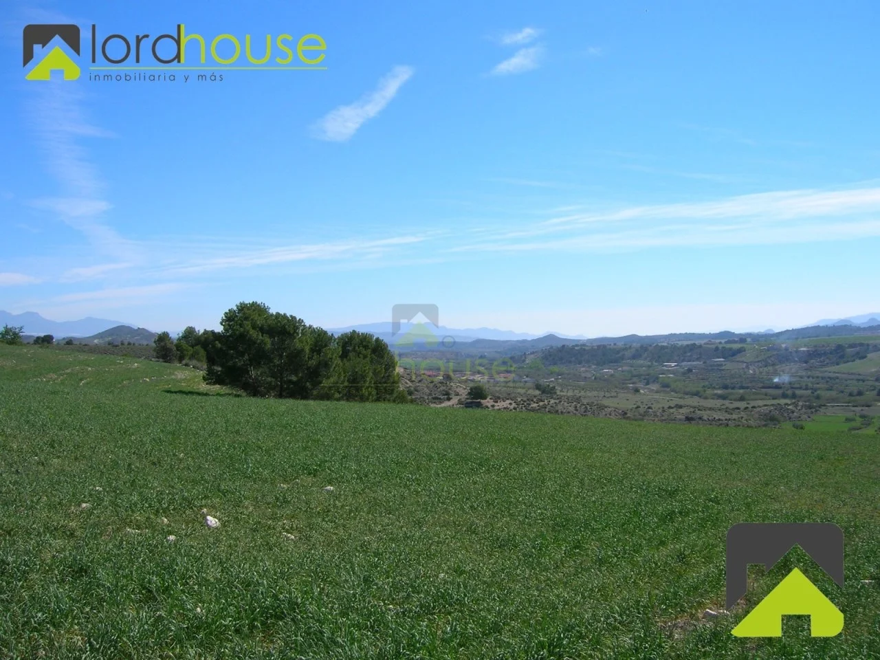 Lorca land plots with irrigation