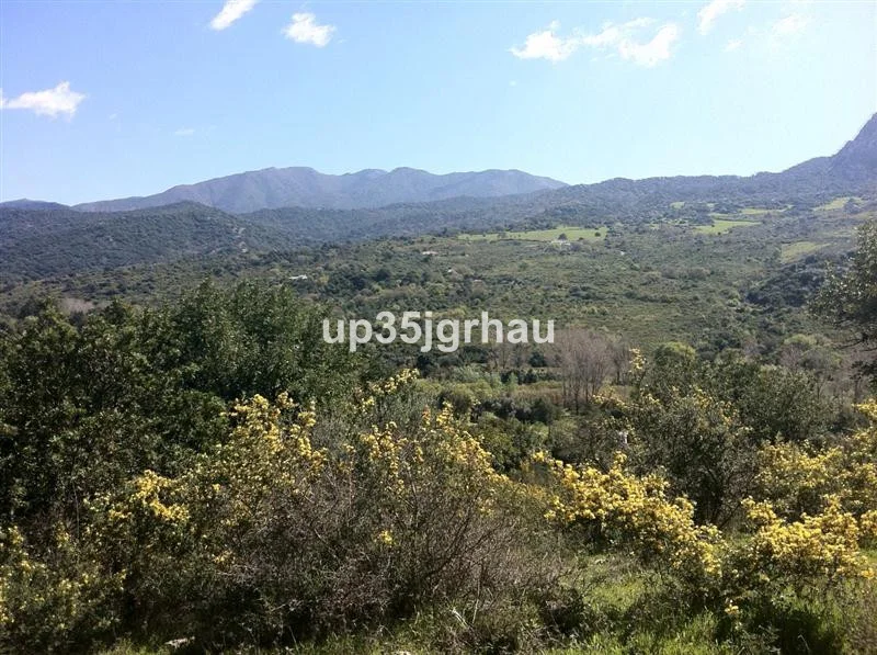 Gran parcela de terreno en Gaucín, 360.000 m²
