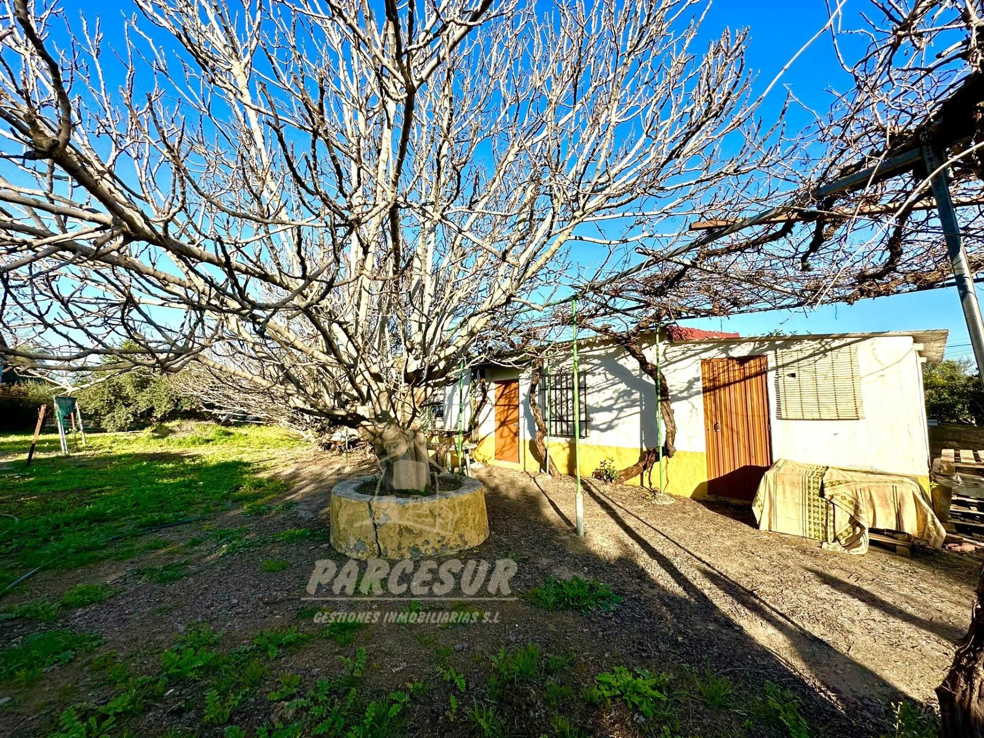 El Higuerón plot with rural building