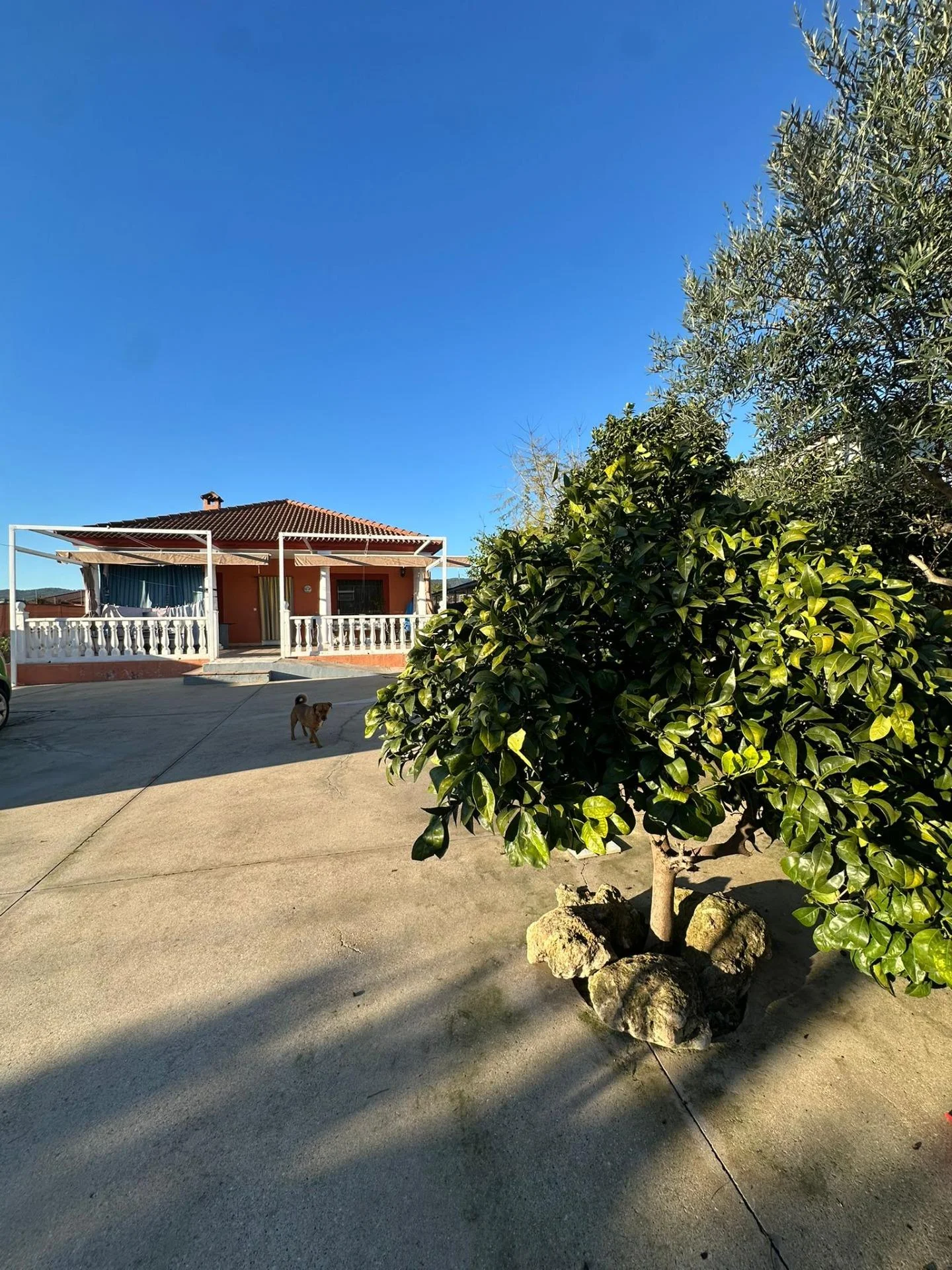 El Higuerón country home with pool