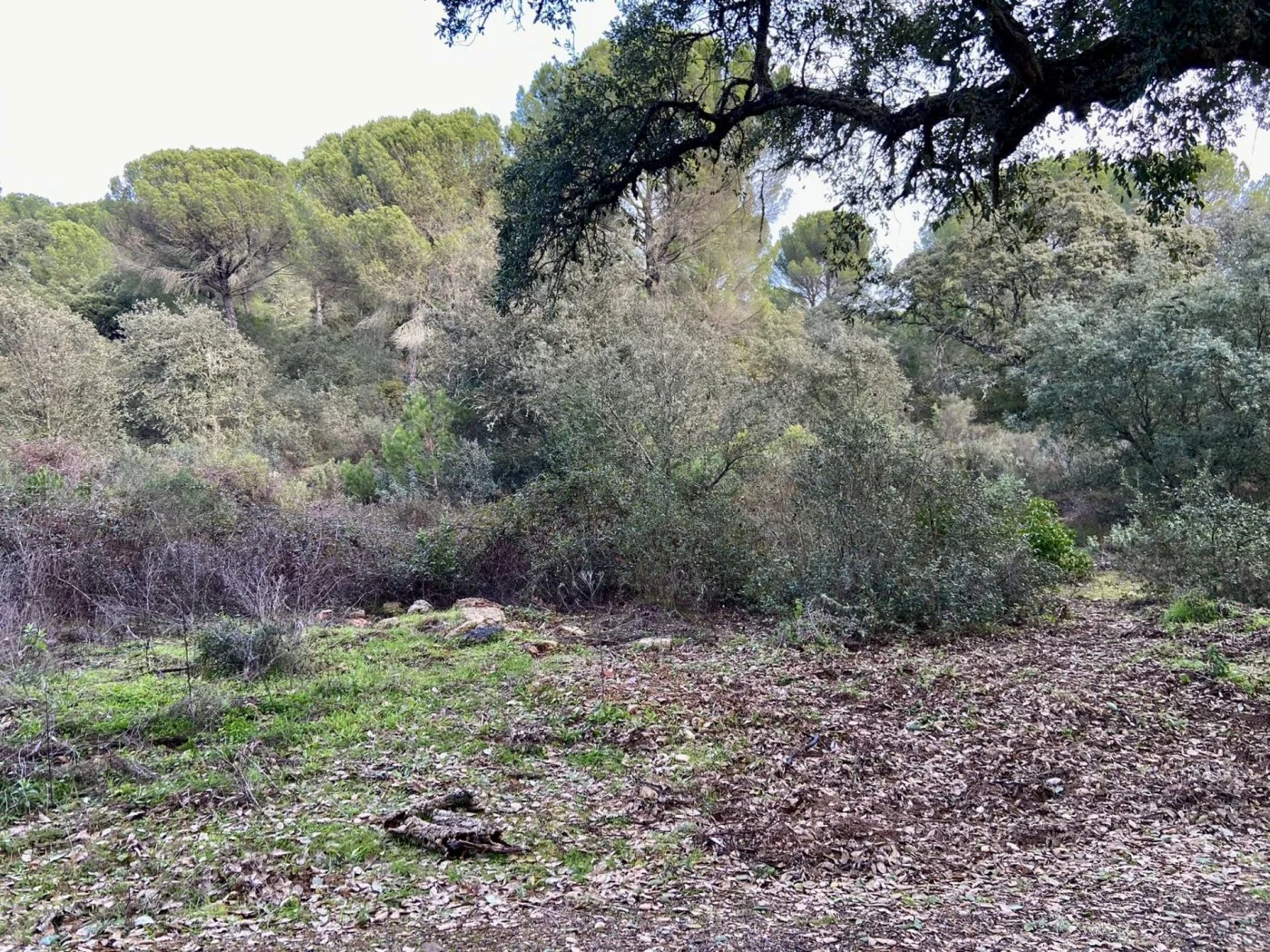 Gran finca rústica cerca de Córdoba