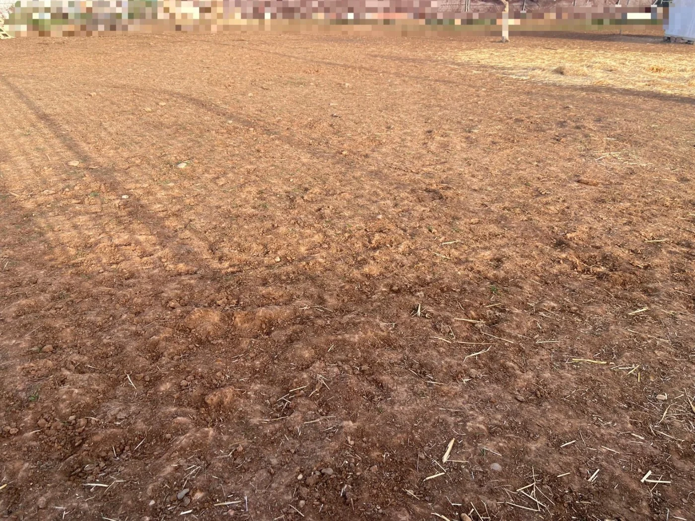 Gran parcela en Córdoba con pozo compartido