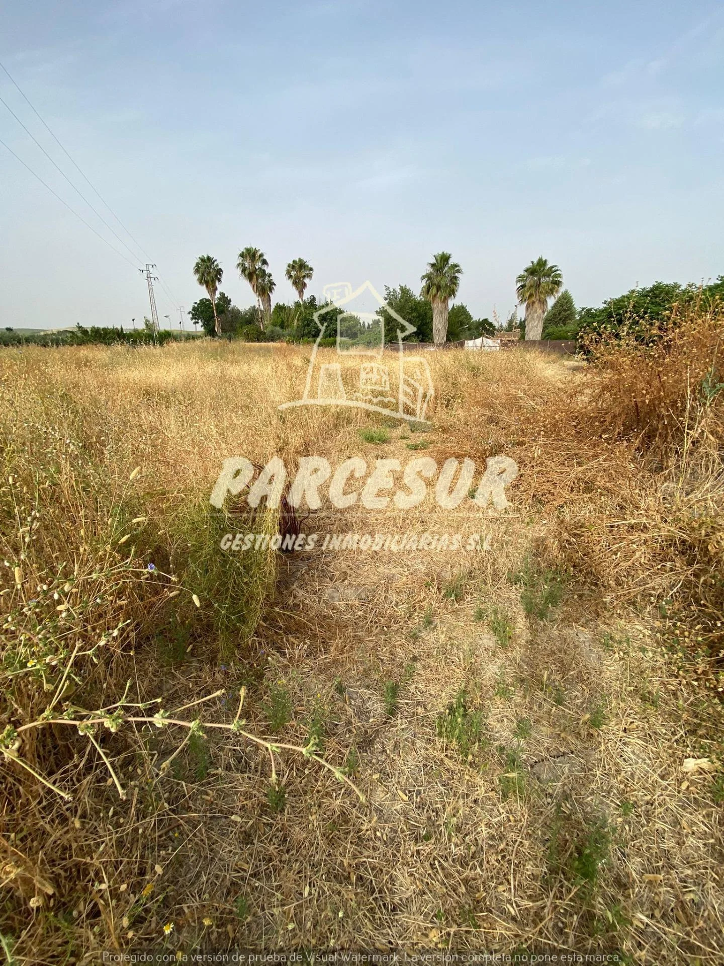 1,250 m² investment plot in Córdoba