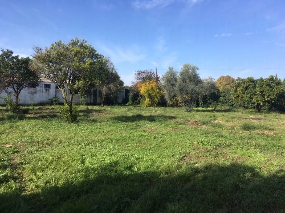 Parcela vallada de 1.500 m² cerca de Córdoba