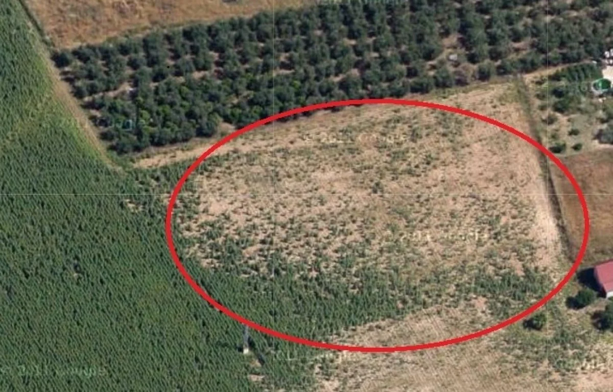 Developable Córdoba plot, 5,600 m²