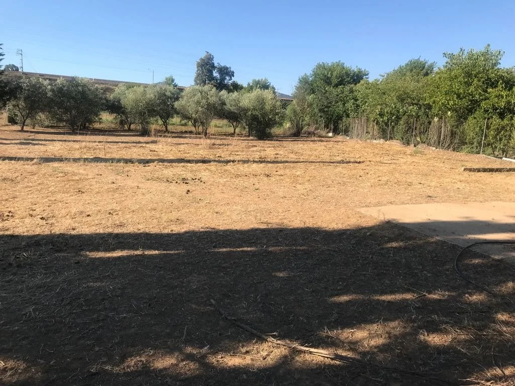 Fenced 2,700 m² plot in El Higuerón