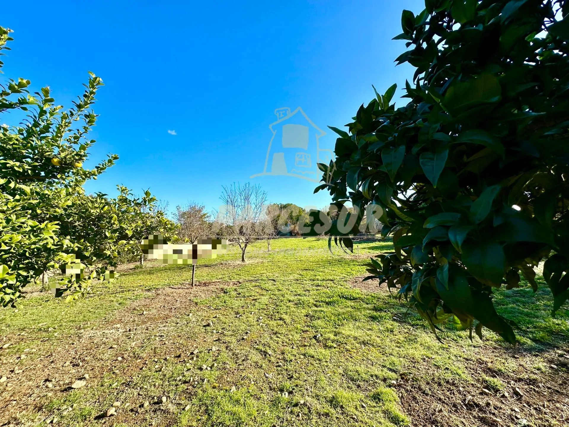 Parcela vallada de 1.500 m² cerca de Córdoba