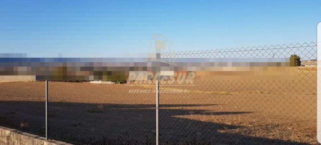 Parcela en Cañuelo con luz contratada