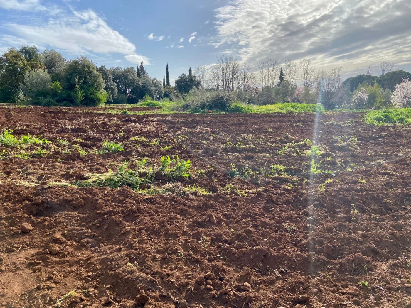 Parcela de 6.000 m² en Trassierra con tractor