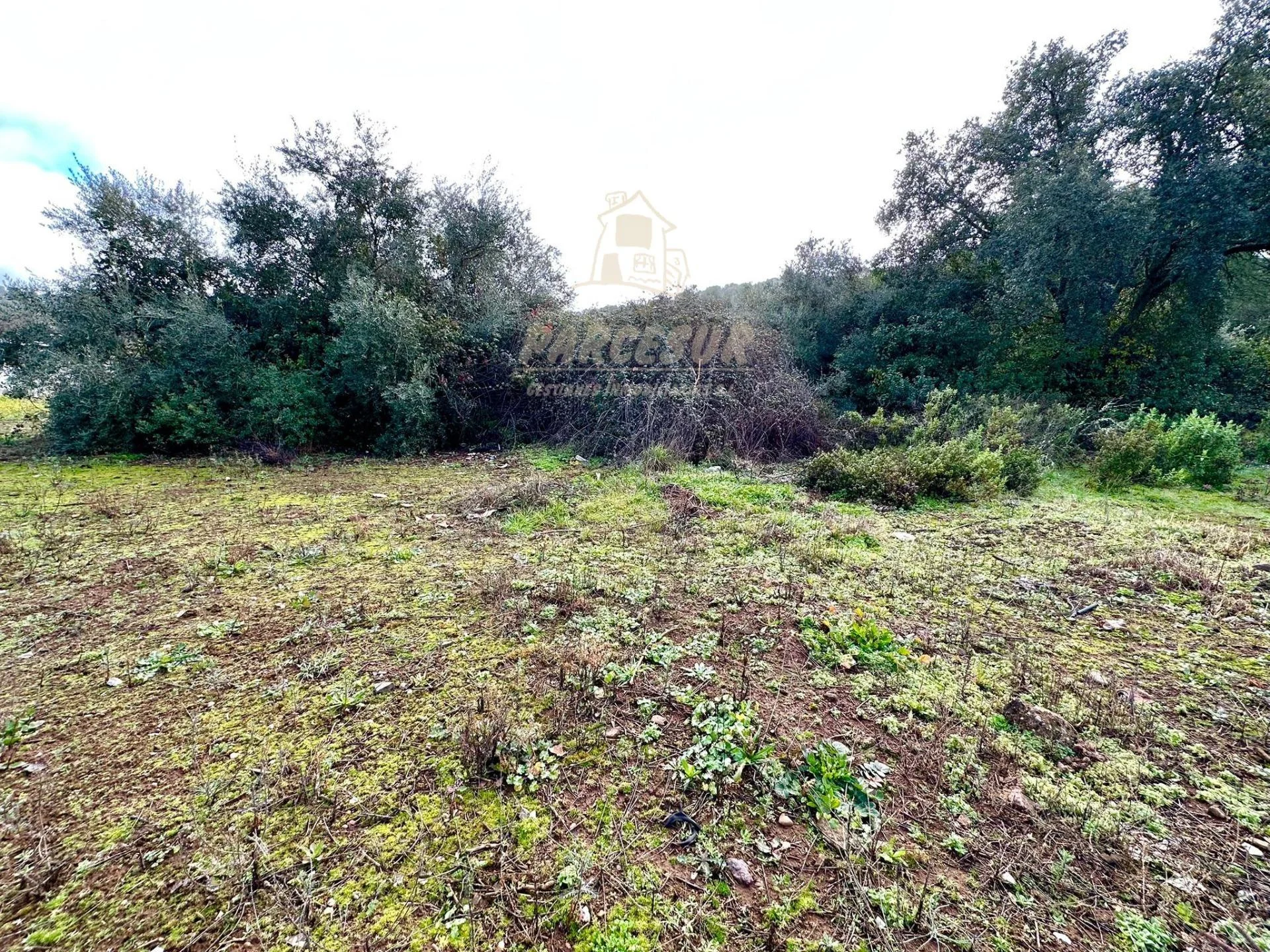 Parcela de 4.000 m² en Trassierra