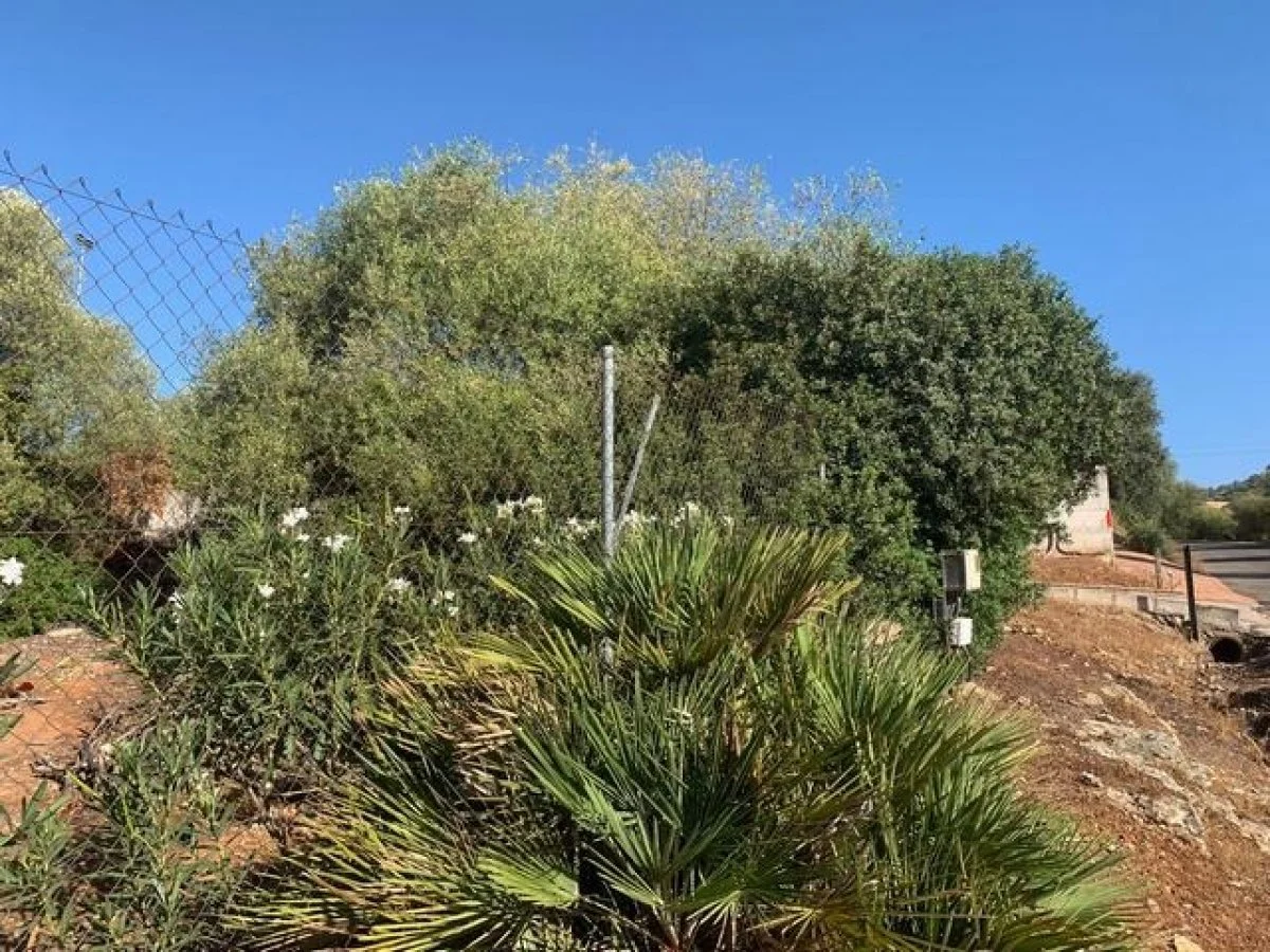Gran parcela en Villarrubia con luz
