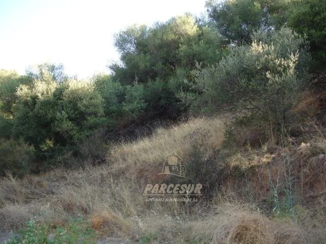 Urban land in Alcolea, 36,000 m²
