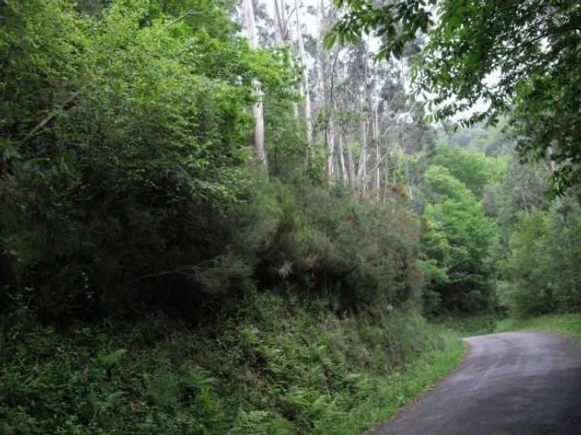 Finca rústica en Valdés, 13.100 m²
