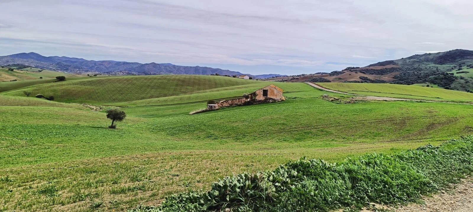 Terreno rústico con casa para reformar