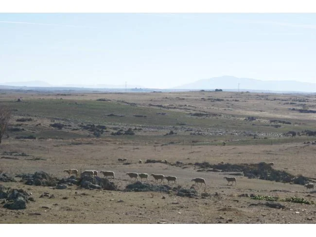 Fenced rural estate with farmland
