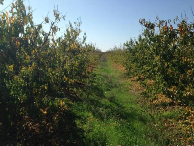 Finca rústica de 200 m² con nave