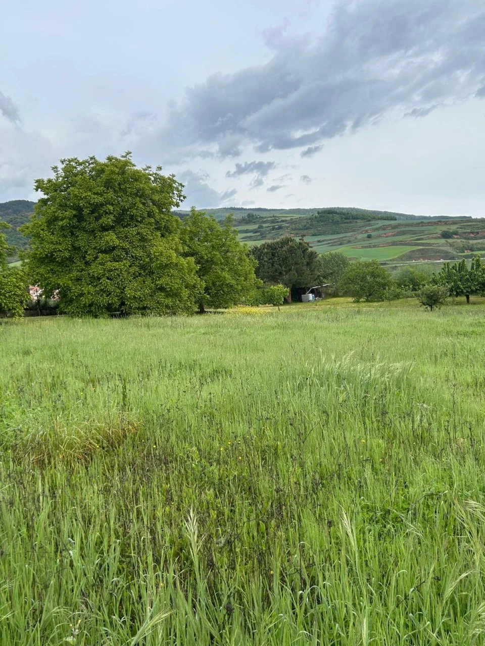 Urban plot in Estollo, 4,640 m²
