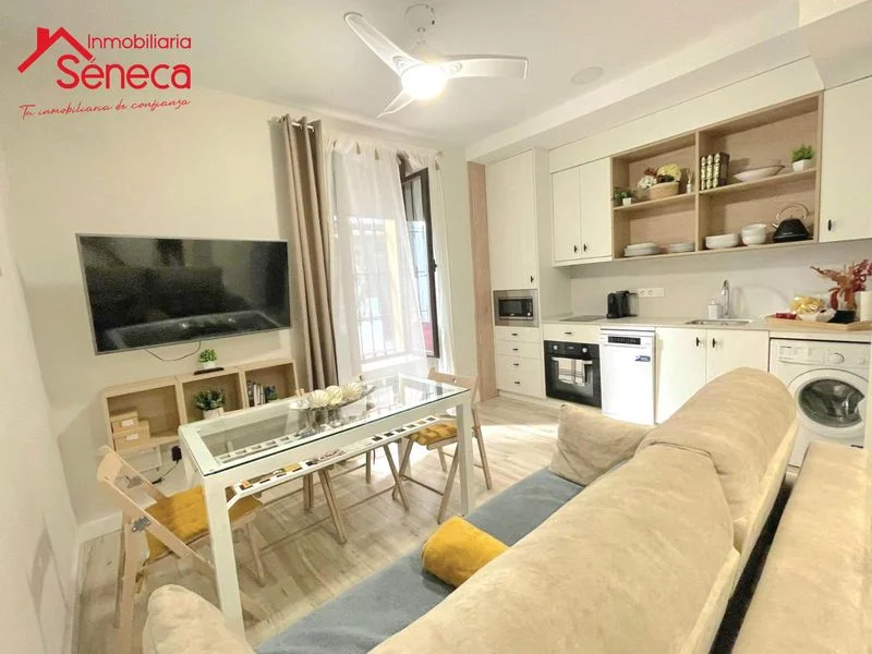 Central Córdoba flat with tourist licence