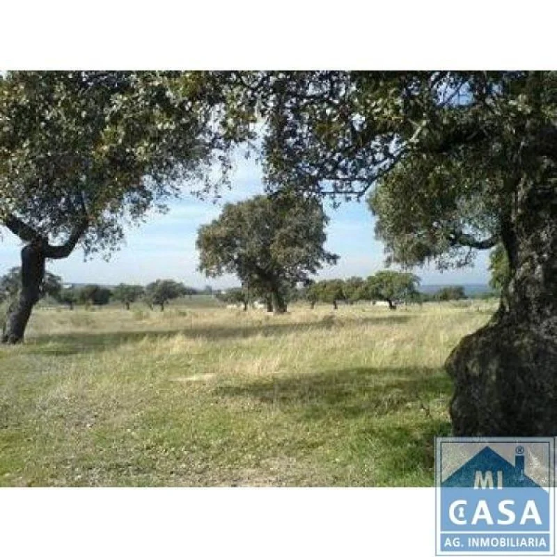 Finca rústica en Mérida con 3 dormitorios