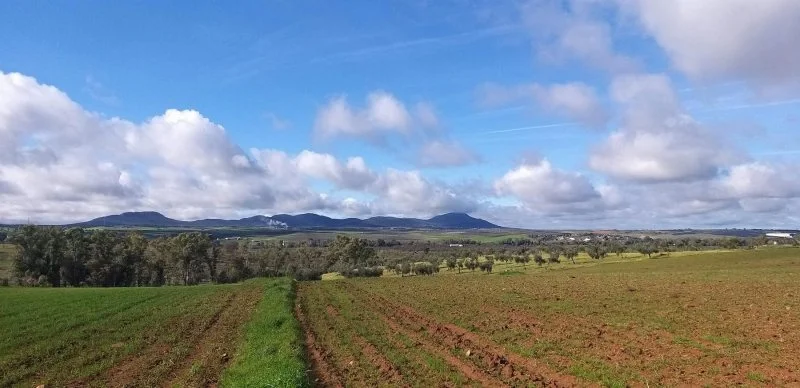Gran parcela junto al río cerca de Mérida