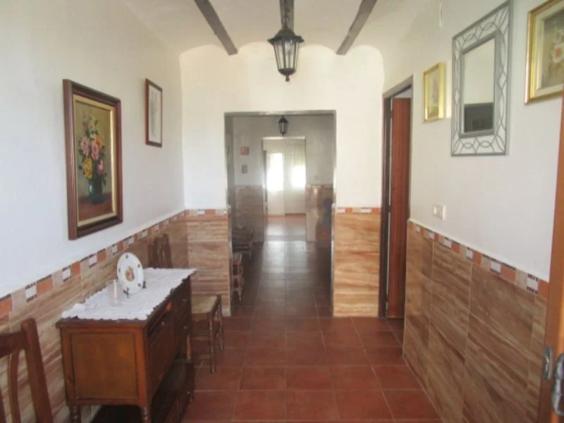 Reformed Cózar house with patio