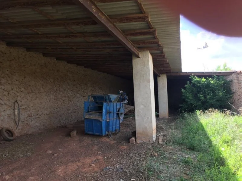 Finca rústica con olivares y viñedos