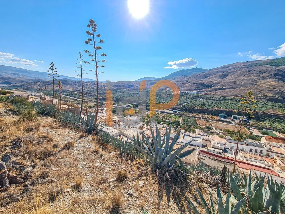 Terreno urbano en Abla, 8.342 m²