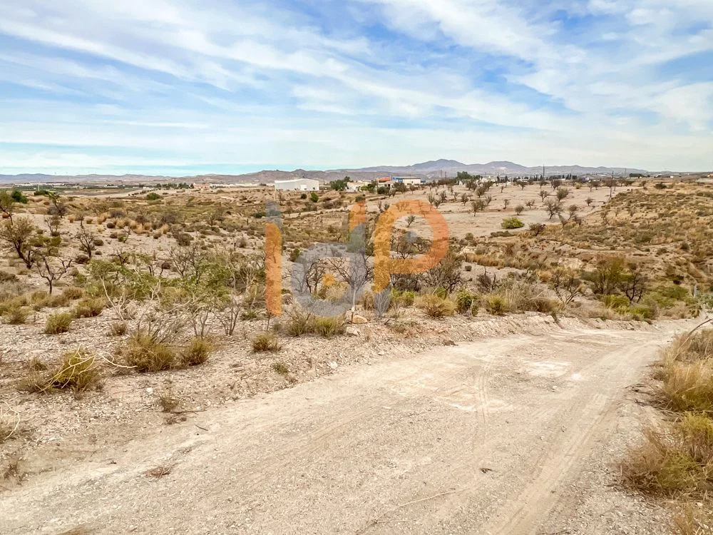 Rustic plot near Almajalejo, 8,296 m²