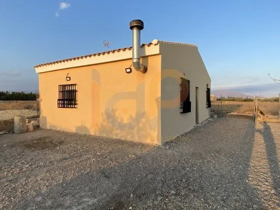 Parcela de olivos en El Saltador