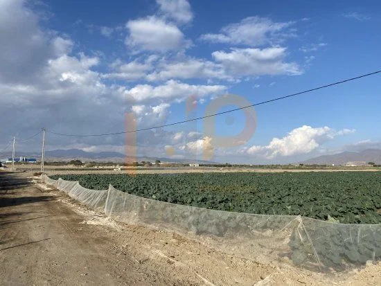 Rustic plot in El Saltador, 8,000 m²