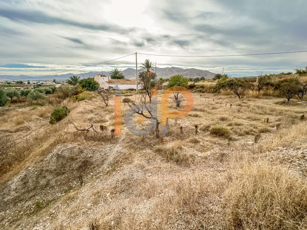 Parcela rústica en El Saltador, 3.498 m²