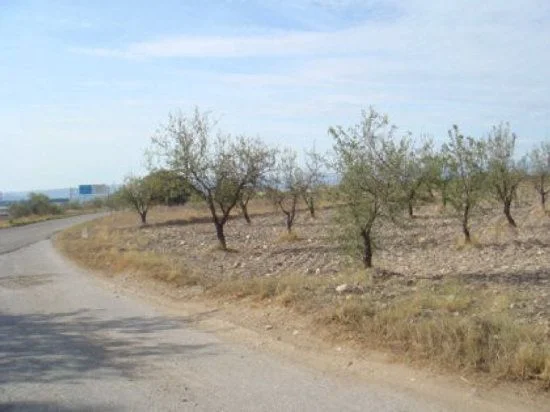 Rural land with 5,000 m² built area