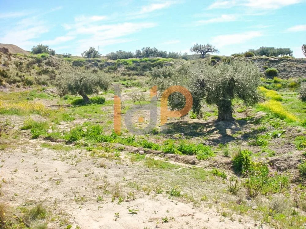 Terreno rústico de 9.000 m² en Huércal-Overa