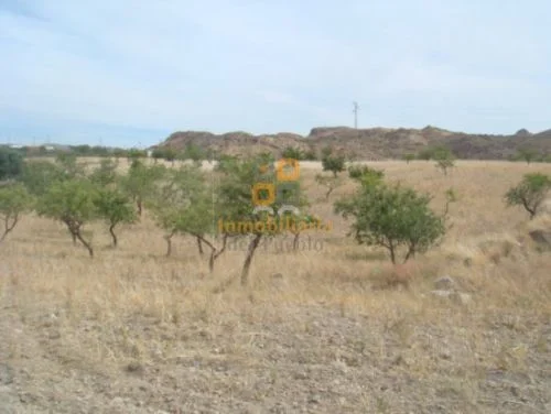 Developable 5,000 m² plot near Urcal